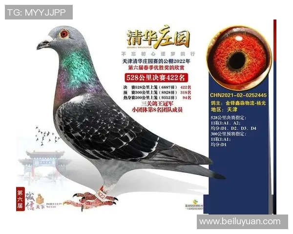 西安足球队与南京足球队耐力对决赛后分析与总结